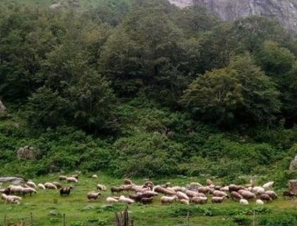 Dragomir u Rupama rečinskim čuva tradiciju kolašinskih katuna