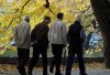 U Srbiji svakog dana na posao ide 35.000 PENZIONERA