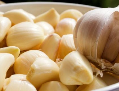 Deset najboljih prirodnih antibiotika