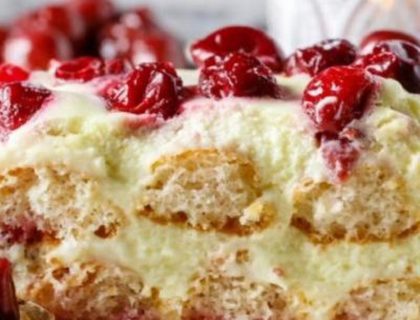 IDEALNA POSLASTICA ZA TOPLE DANE: Kremasta torta sa piškotama (RECEPT)