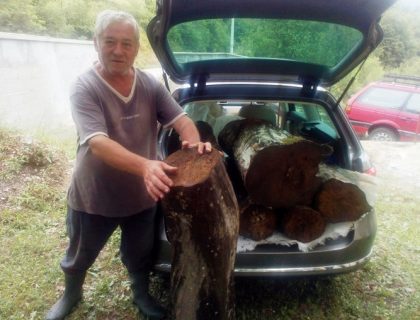 SVI GA U ČUDU GLEDAJU Penzioner sa Manjače ogrev nabavlja na NESVAKIDAŠNJI NAČIN (FOTO)