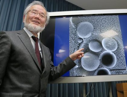 Japanski Nobelovac (74): Ovo je jedini način da sačuvate zdravlje i podmladite cijelo tijelo!