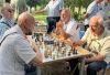 Danas i sjutra SENIOR FEST 2024. na Trgu nezavisnosti u Podgorici
